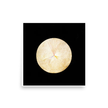 The Swan, No.14 by Hilma af Klint- Premium Poster