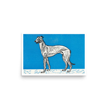 Greyhound by Moriz Jung- Premium Poster