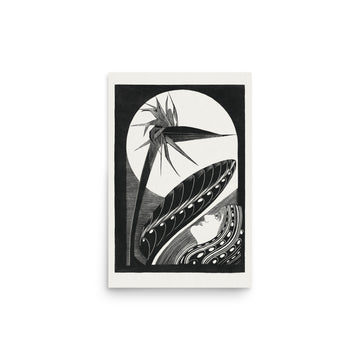 Strelitzia overblown by Samuel Jessurun de Mesquita- Premium Poster