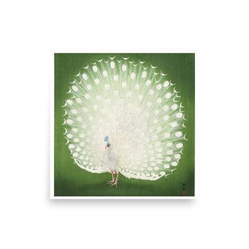 Peacock by Ohara Koson- Premium Poster