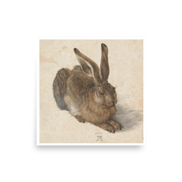 Rabbit by Albrecht Duerer