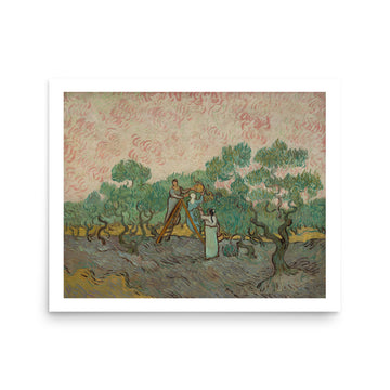 Women Picking Olives by Van Gogh- Premium Poster