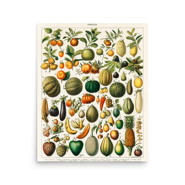 Fruits by Larousse Pierre- Premium Poster