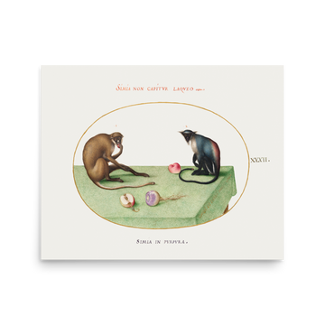 Two Monkeys on a Table by Joris Hoefnagel- Premium poster