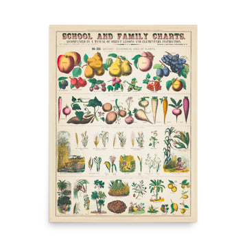 School and Family Charts 2- Premium Poster