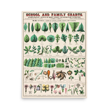 School and Family Charts - Premium Poster