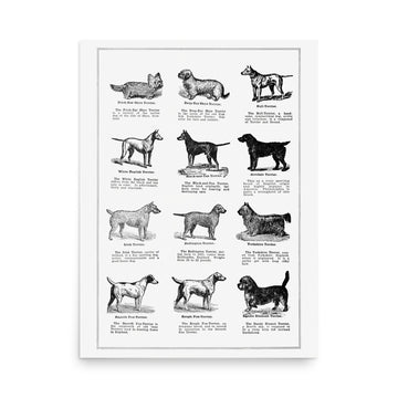 Dog Chart- Premium Poster