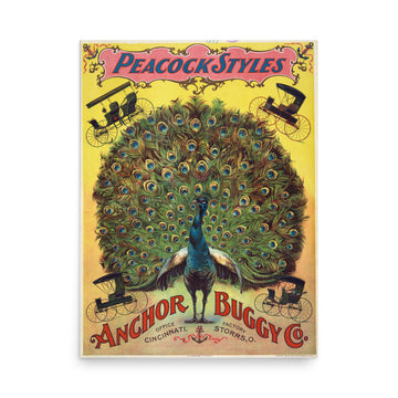 Vintage Peacock- Premium Poster