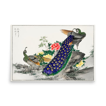 Peacock and Peony by Numata Kashu- Premiu Poster