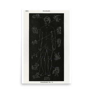 Solar Biology Male by Hiram Erastus Butler- Premium Poster