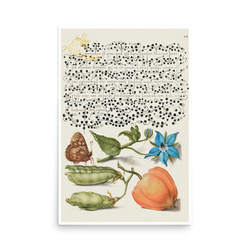 Speckled Wood, Talewort by Joris Hoefnagel- Premium Poster