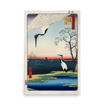 Japanese cranes- Premium Poster