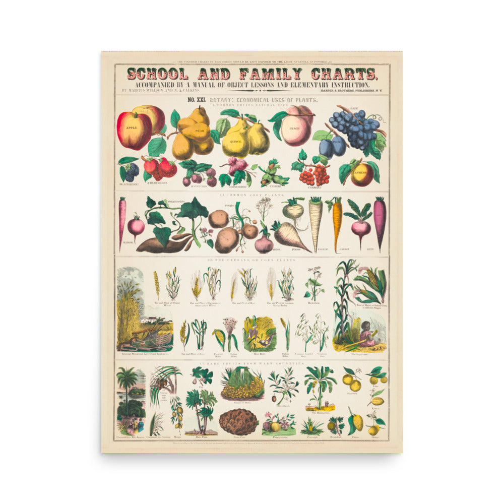 School and Family Charts 2- Premium Poster