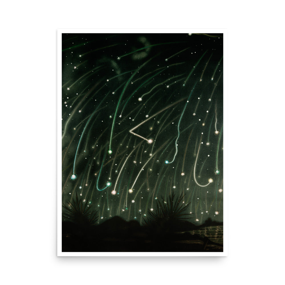 November meteors- Premium Poster