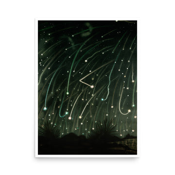 November meteors- Premium Poster