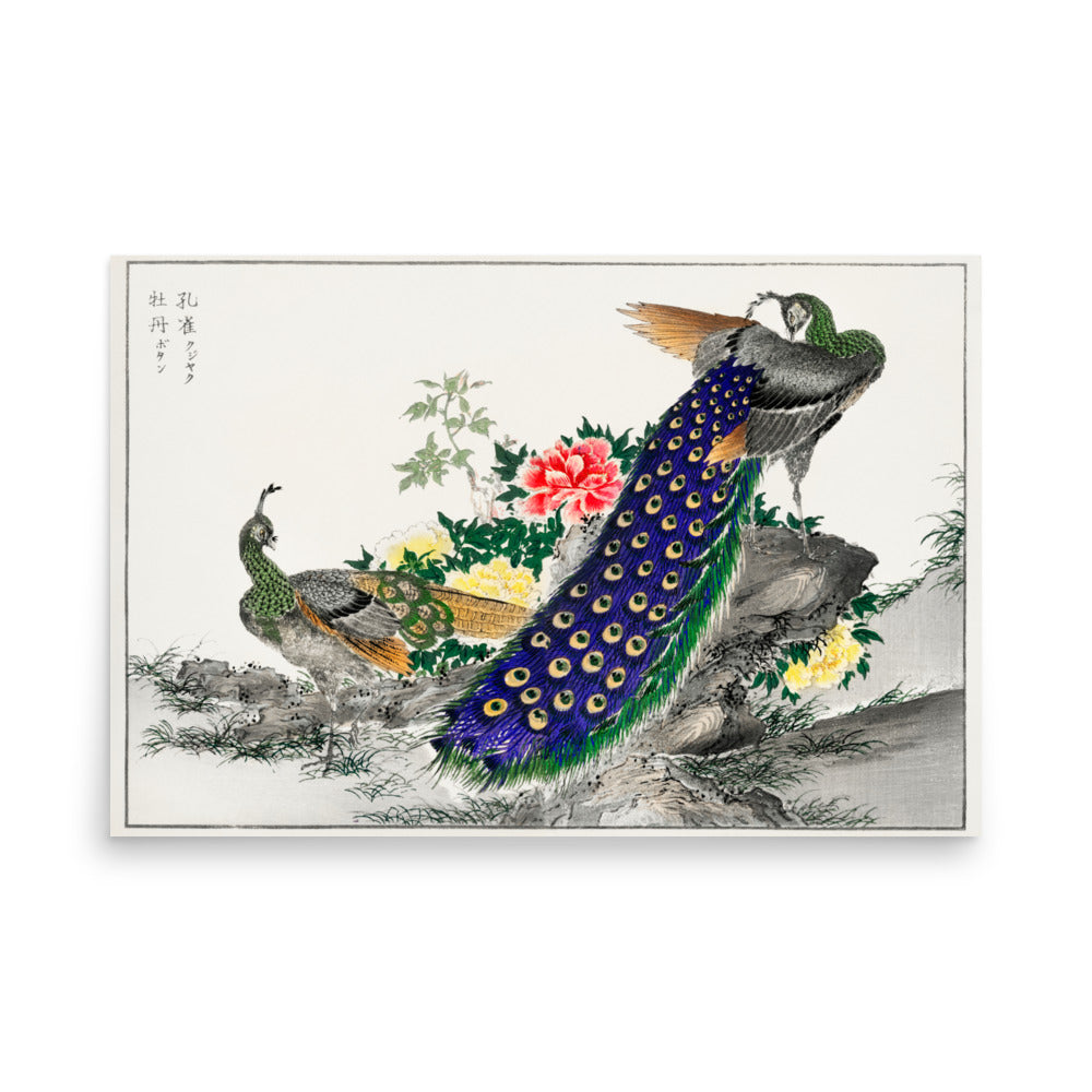 Peacock and Peony by Numata Kashu- Premiu Poster